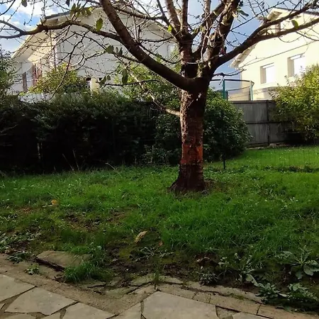Maisonnette 2/4 Pers-jardin-calme-parking Gratuit Maison d'hôtes Billere